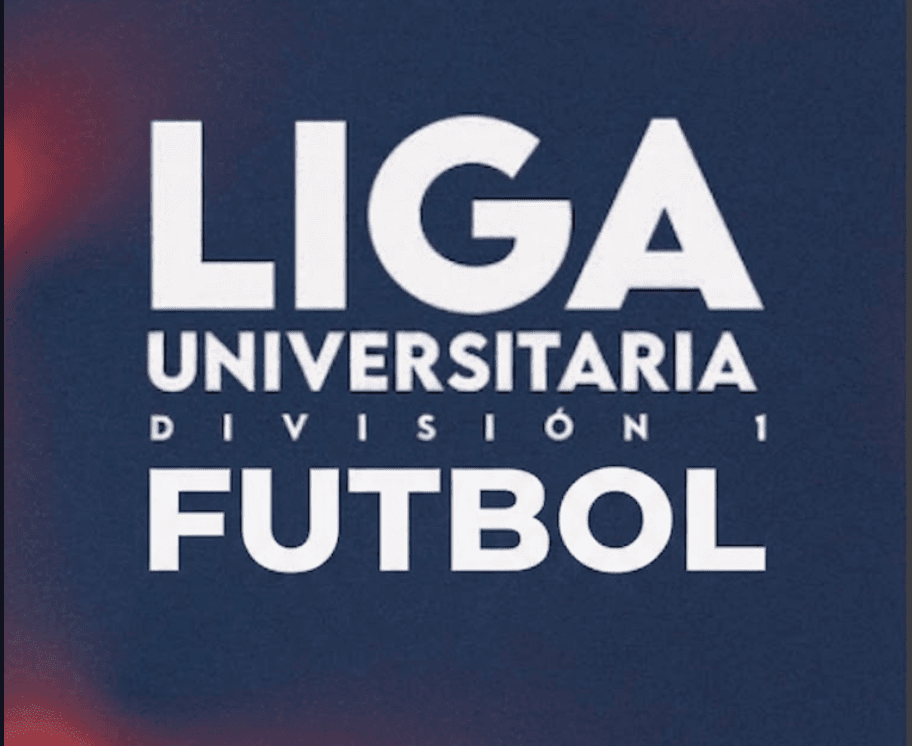 FEDUP DIVISION 1 FUTBOL