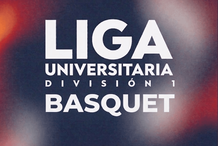 FEDUP DIVISION 1 BASQUET